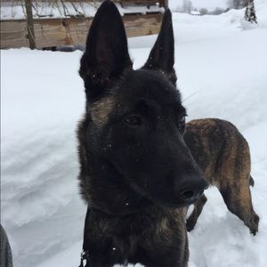 Meet your Posher, Heather